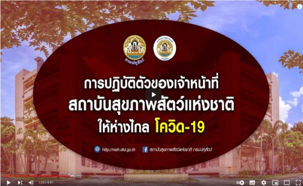 มาตรการป้องกันการแพร่ระบาด เชื้อไวรัส Covid - 19 สถาบันสุขภาพสัตว์แห่งชาติ กรมปศุสัตว์