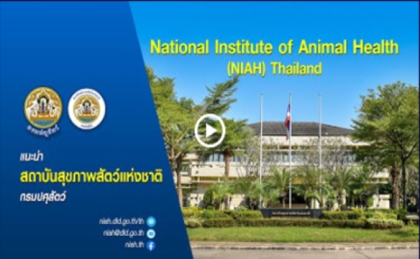 วีดิทัศน์ แนะนำ สถาบันสุขภาพสัตว์แห่งชาติ กรมปศุสัตว์