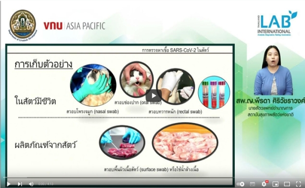 นวัตกรรมทางห้องปฏิบัติการเพื่อการวินิจฉัยโรคอหิวาต์แอฟริกาในสุกร (2)