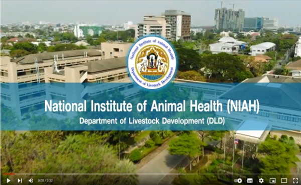 National Institute of Animal Health (NIAH) presentation แนะนำสถาบันฯ ภาษาอังกฤษ