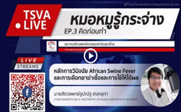 โรค ASF การวินิจฉัยโรค และการใช้ยาฆ่าเชื้อที่ได้ผล