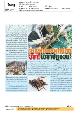 จิ้งหรีดตายผิดปกติ อย่า!!ใช้ยาปฏิชีวนะ