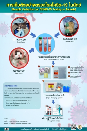 การเก็บตัวอย่างตรวจโรคโควิด-19 ในสัตว์ (Sample Collection for COVID-19 Testing in Animals)