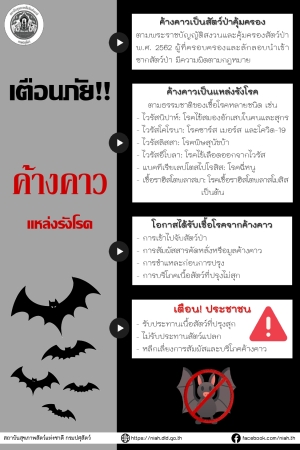 ค้างคาว แหล่งรวมโรค