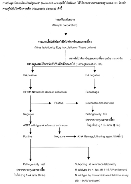 testAI 1