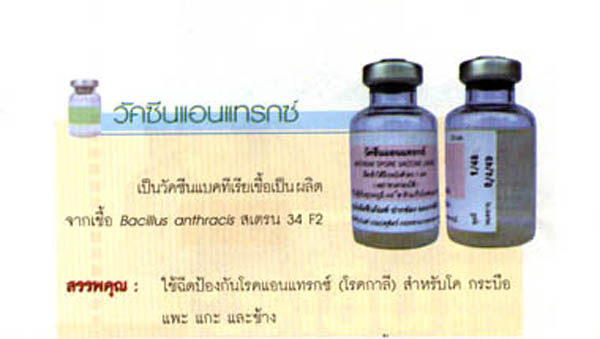 vaci anthrax
