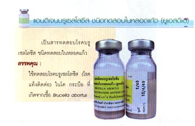 antigenBr1