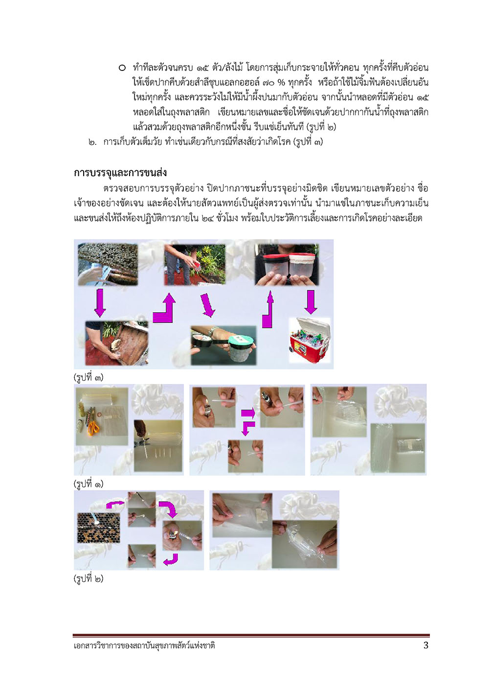 HoneyBee Specimen2018 NIAH Page 3