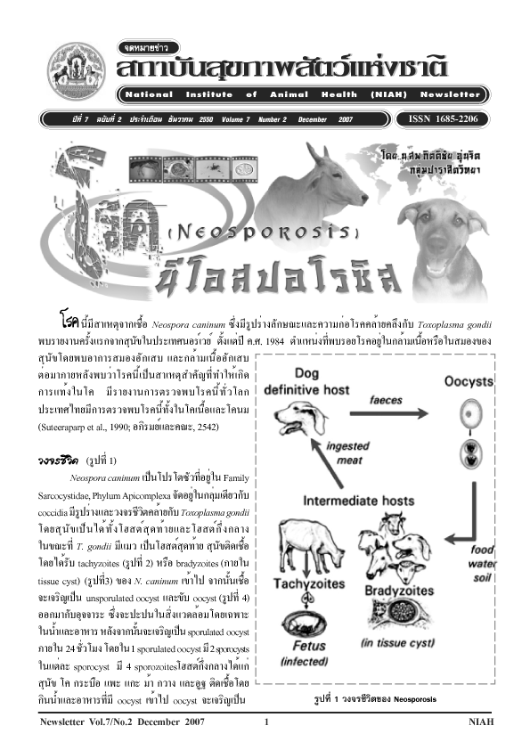 cow neosporosis 1