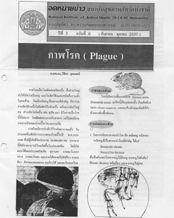 zoonosis Plague1