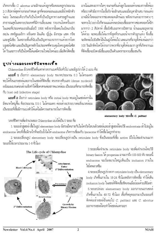 zoonosis Chlamy2