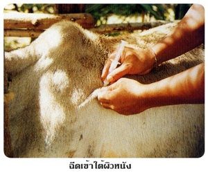 vac04