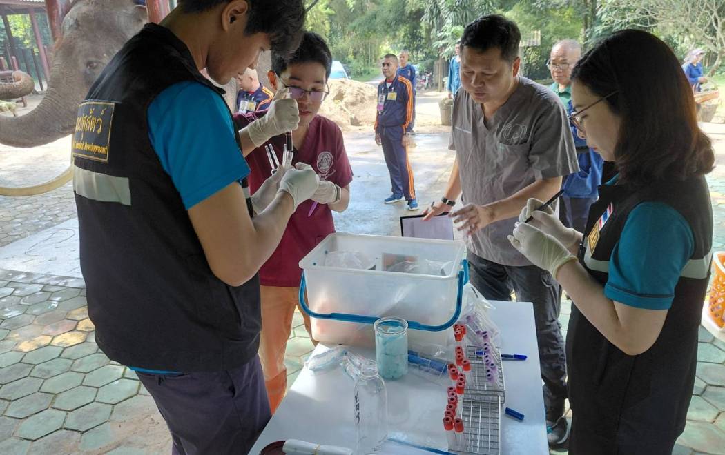 ศวพ. ภาคเหนือตอนบน เข้าร่วมการดูแลและบำรุงสุขภาพช้างสำคัญ ครั้งที่ 1/2569