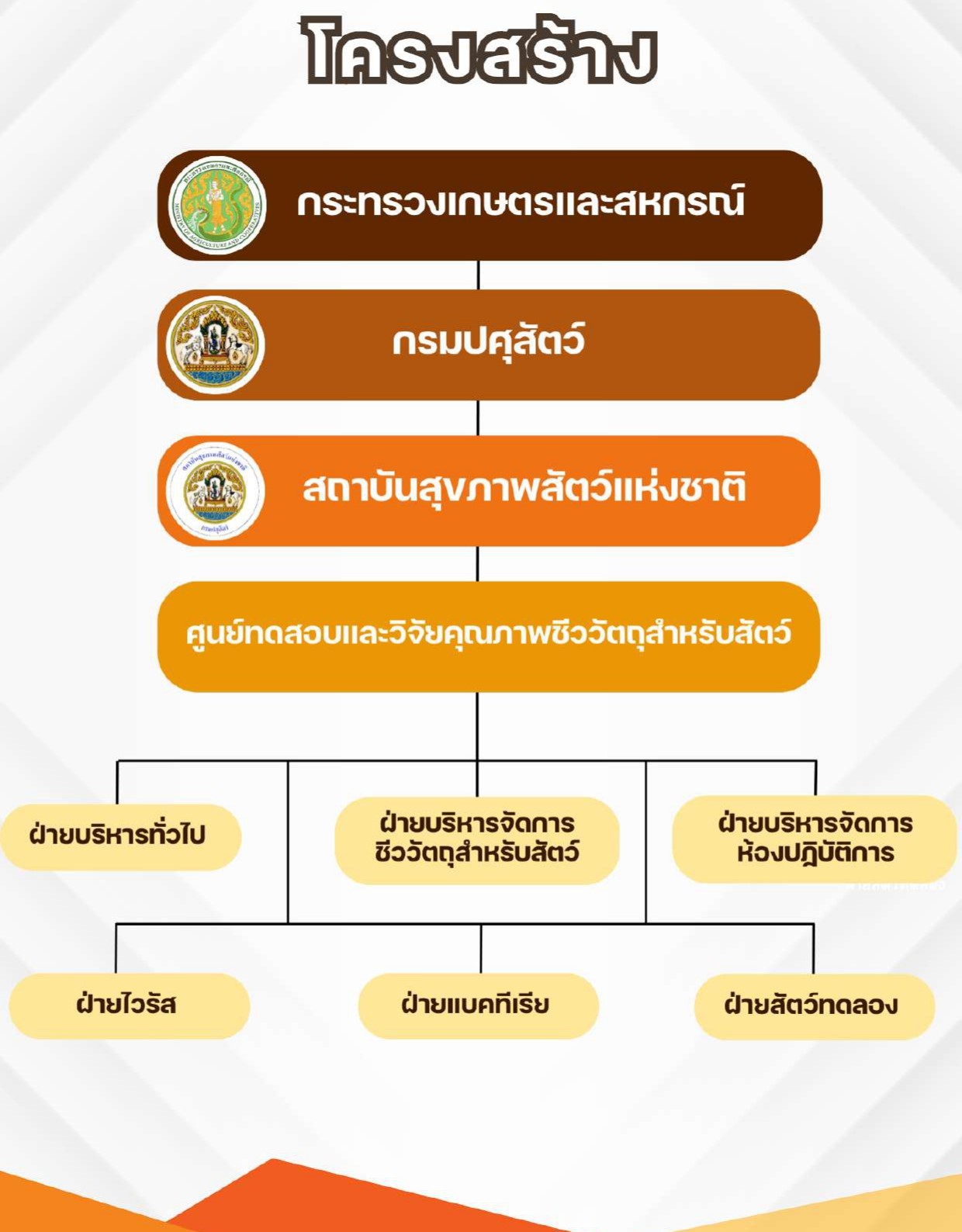 structure